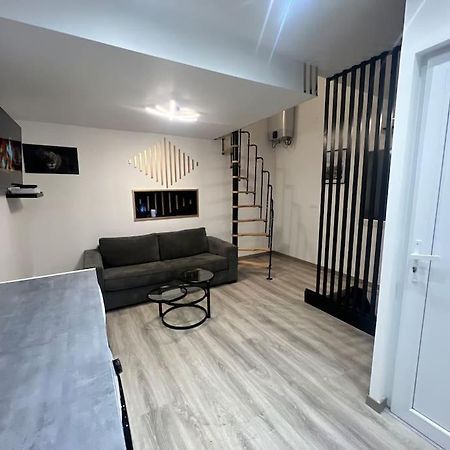 Maison Appartement Triplex Avec Jacuzzi Et Sauna Saint-Etienne  Exteriér fotografie